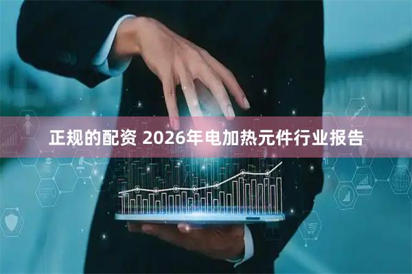 正规的配资 2026年电加热元件行业报告